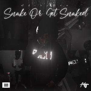 Snake Or Get Snaked (Explicit)