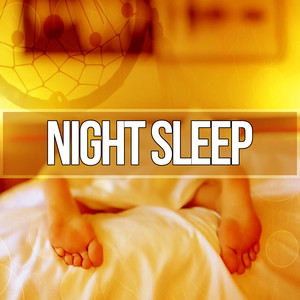 Night Sleep – Restful Sleep, Sounds of Silence, Sweet Dreams with Soothing Music, Calmness