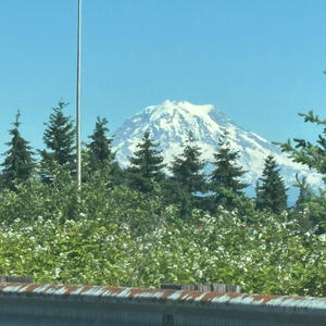 Can't relate (feat. M-Status)