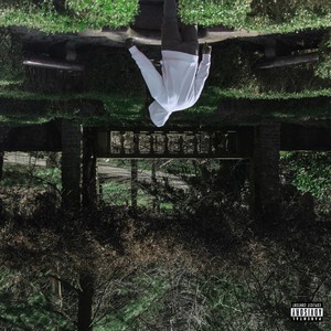 Free Fall (Explicit)