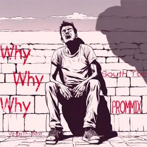 Why Why Why (feat. PROMMIX)