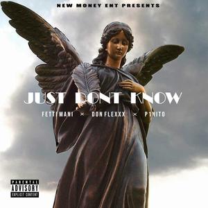 Just Don't Know (feat. DonFlexxx & P1Nito) [Explicit]