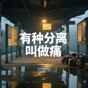 有种分离叫做痛