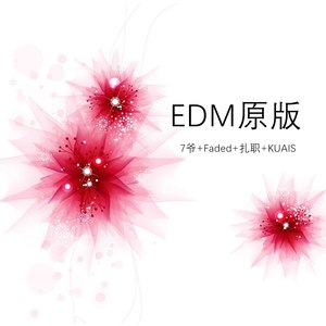 EDM原版