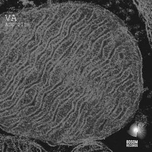 Another Dimension (Pedro Pires Remix)