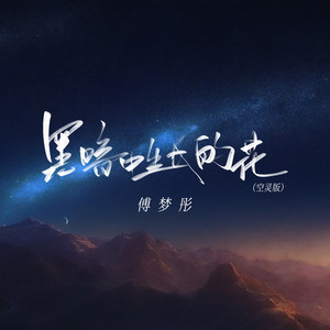 黑暗中生长的花-傅梦彤