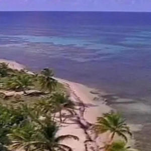 Commotion (feat. SueyD & InDaCutsJay) (Explicit)