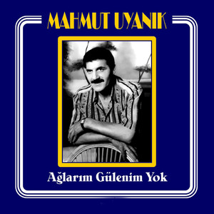 Ağlarım Gülenim Yok