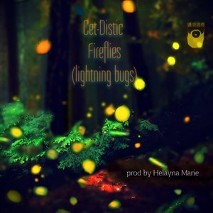 Fireflies (lightning bugs)