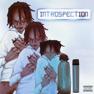 introspection (Explicit)