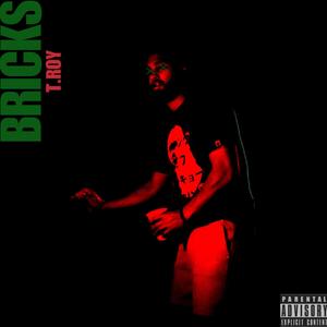 BRICKS (Explicit)