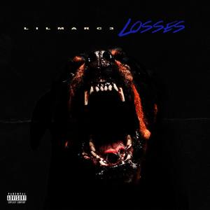 Losses (Explicit)