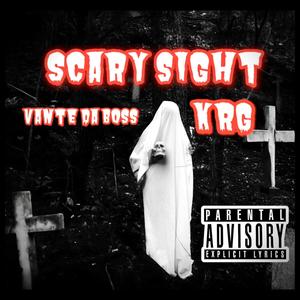 Scary Sight (feat. KINGROGASSIN) [Explicit]