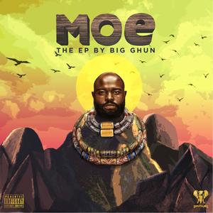 MOE (Explicit)