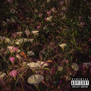 No Rain, No Flowers (Explicit)