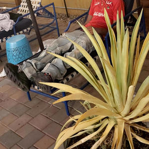 Bestfriend old freestyle 2016 (Explicit)