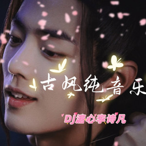 少林雄风 (DJ长音频)封面