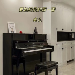 爱如初见的那一面伴奏 (伴奏)