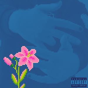 BLOOMS (Explicit)