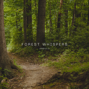 Forest Whispers