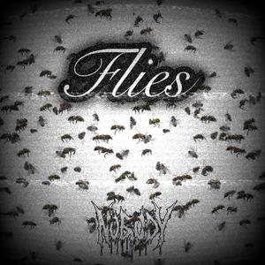 FLIES (Explicit)