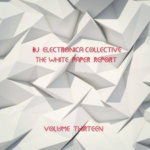 DJ Electronica Collective: The White Paper, Vol. 13