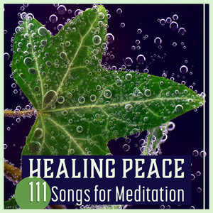 Healing Peace – 111 Songs for Meditation: Calm Soul, Little Vision, Zen Drifting, Spiritual Serenity, Buddha Oasis