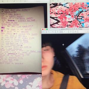 cherry blossoms! (Explicit)