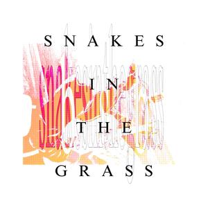 Snakes in the Grass (feat. Ciobo) (Explicit)