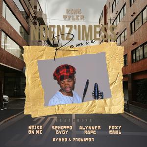 Ndenz'mess (feat. SchottoBvby, Foxy Saul, Pronator, Aymmo, Alynner Raps & Ncika On Me) [Remix] [Explicit]