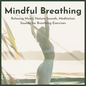Mindful Breathing