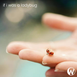 If I Was a Ladybug (I Wouldn't Care)