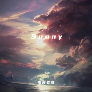 Sunny