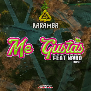 Me Gustas (Original Mix)
