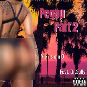 Pegau, Pt. 2 (feat. Dr. Sully) [Explicit]