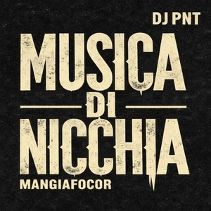 Musica di nicchia