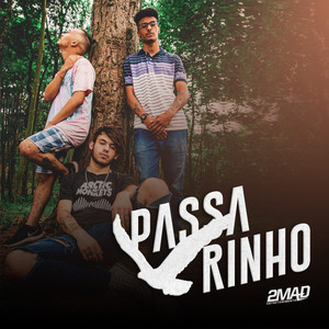 Passarinho