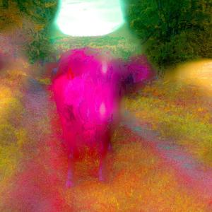 Kno Betta (feat. Shiloh The Messenger)