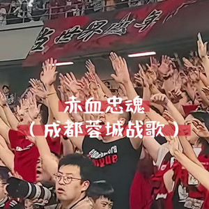 赤血忠魂（成都蓉城战歌）