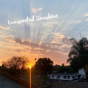 Unexpected Sunshine (Explicit)