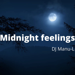 Midnight Feelings