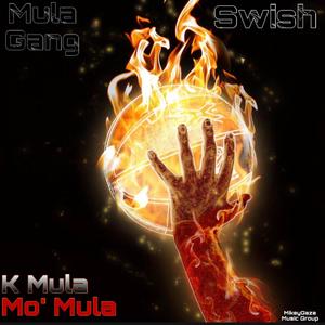 Swish (feat. K Mula & Mo' Mula) [Explicit]