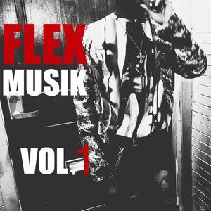 FLEX MUSIK VOL 1 (Explicit)