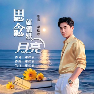 思念就像纸月亮 (男版伴奏)