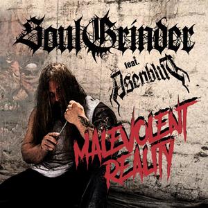 Malevolent Reality (feat. Asenblut)