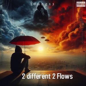 2 different 2 flows (Explicit)