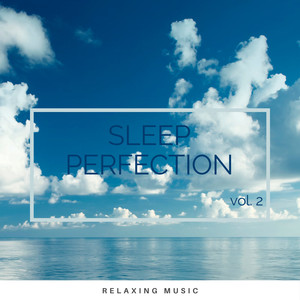 Calming Naturalis Music for Deep Sleep pt. 5 (feat. Deep Sleep Nature Sounds, Relax Radio 1 & Mother Nature FX) (Radio Edit)