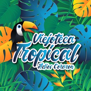 Viejoteca Tropical / Adiós Corazón