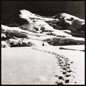 Lose My Mind (feat. Lachie Simpson & Bp) (Explicit)