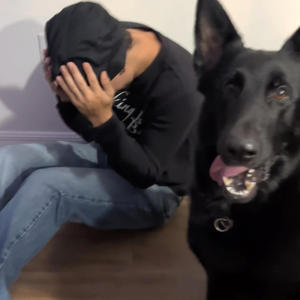 fck united airlines (Explicit)